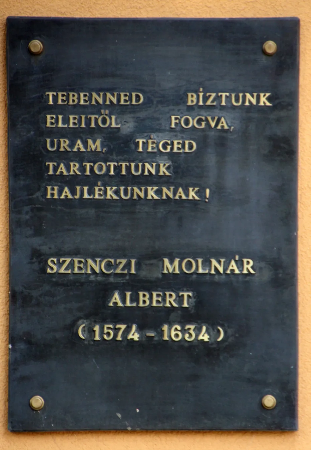 Master file0000061815