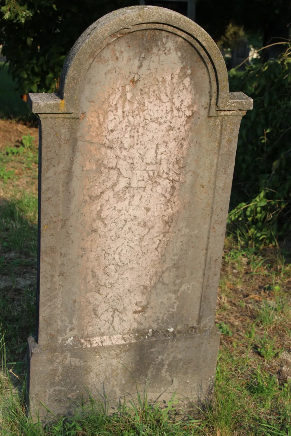 Master file0000060303