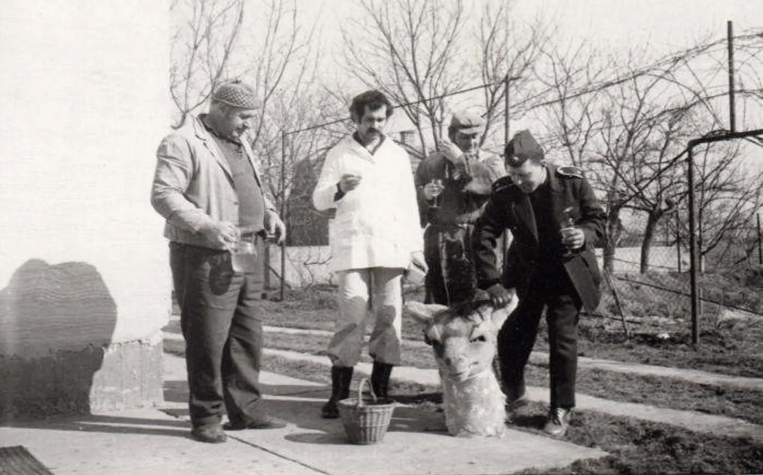 Master file0000056323