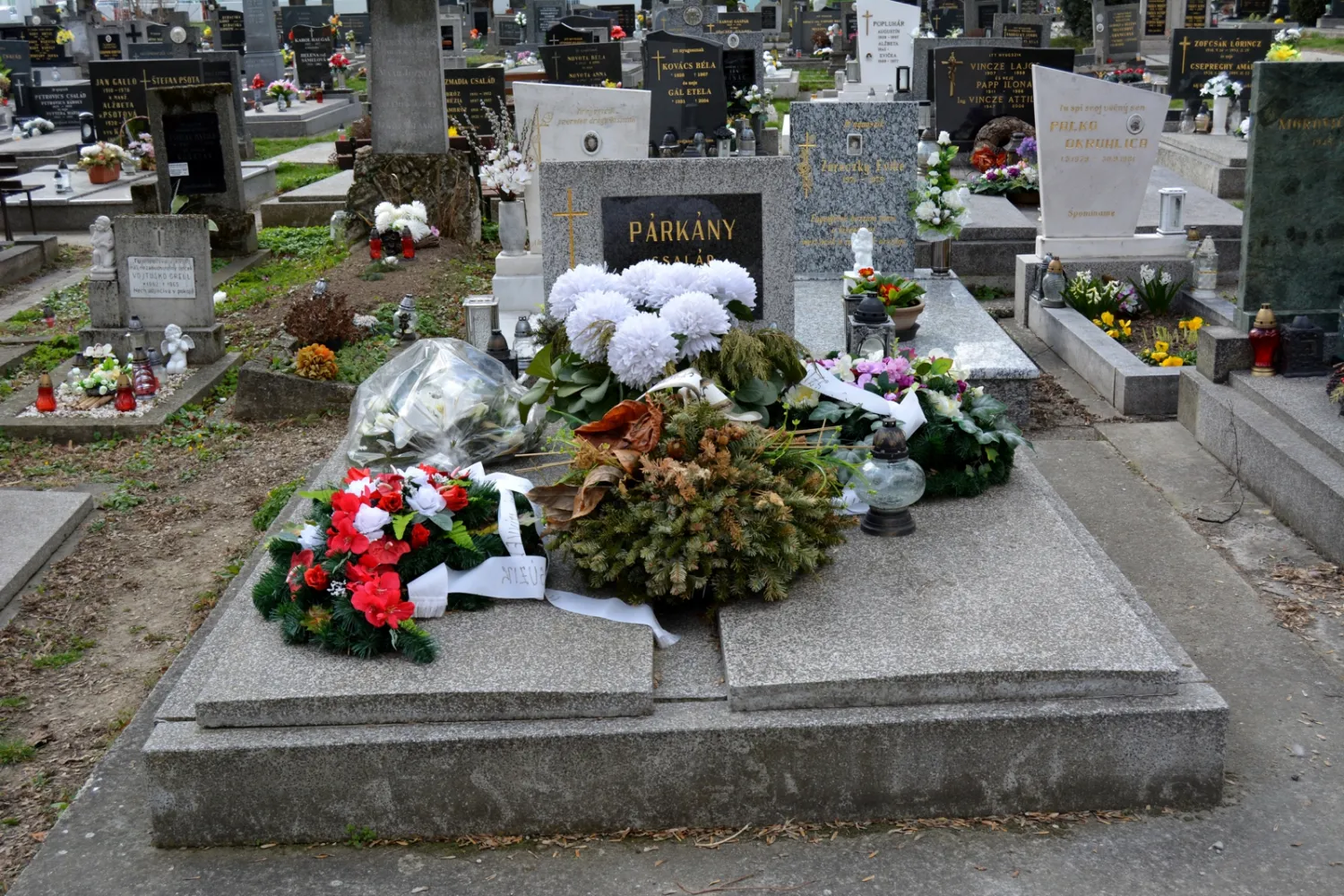 Master file0000058717