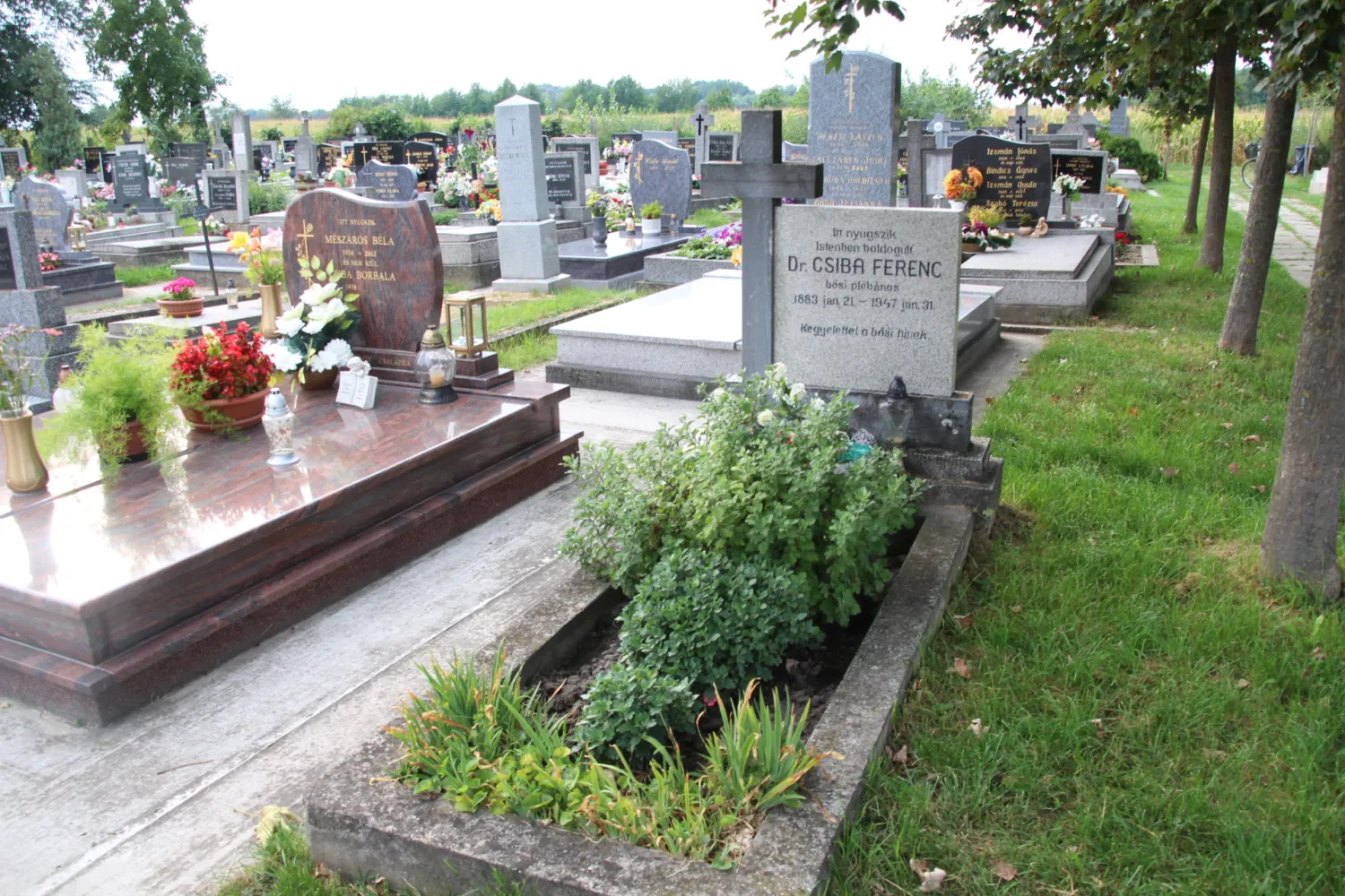 Master file0000067942