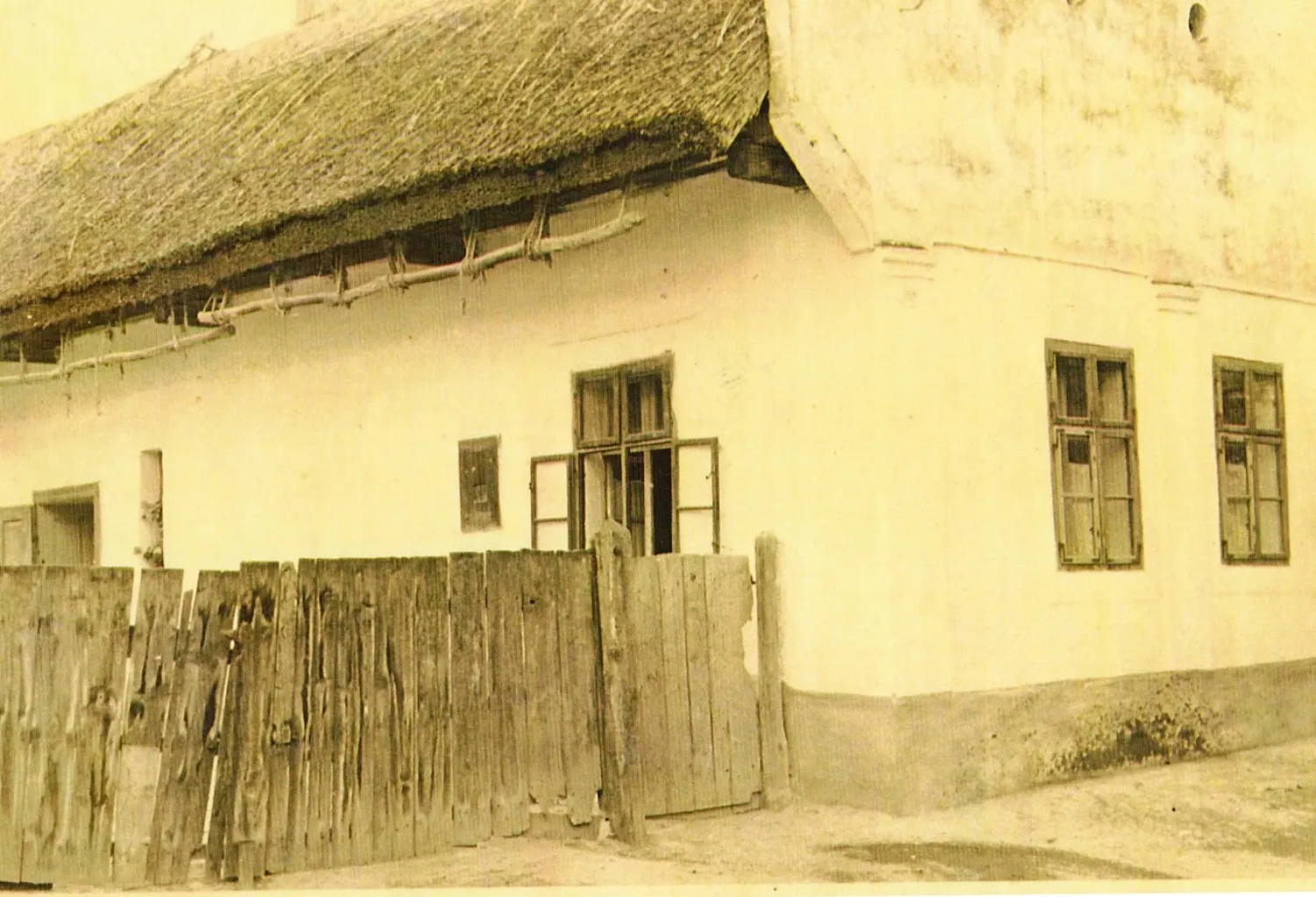 Master file0000081975