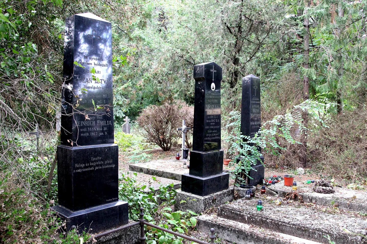 Master file0000060540