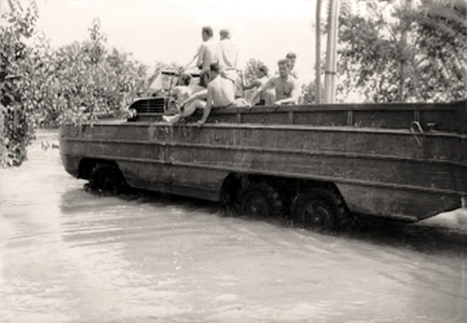 Master file0000057746