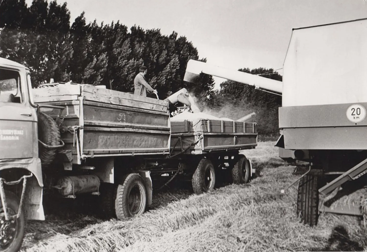 Master file0000056843