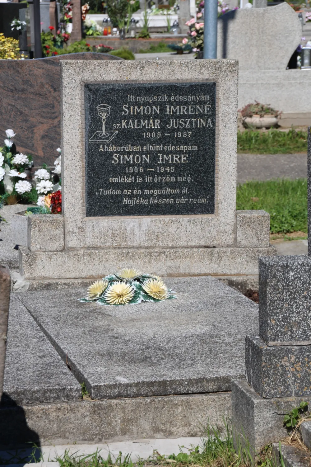 Master file0000059903