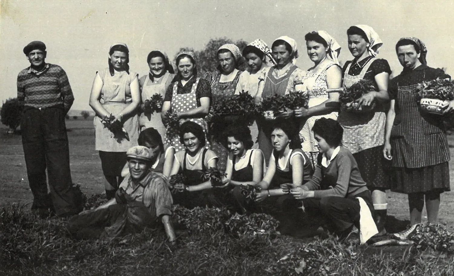 Master file0000080761