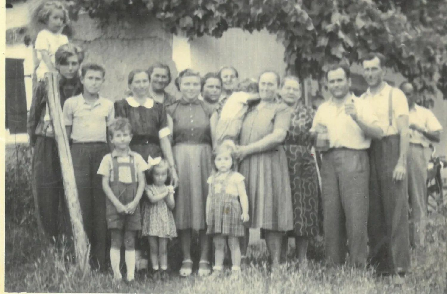 Master file0000080803