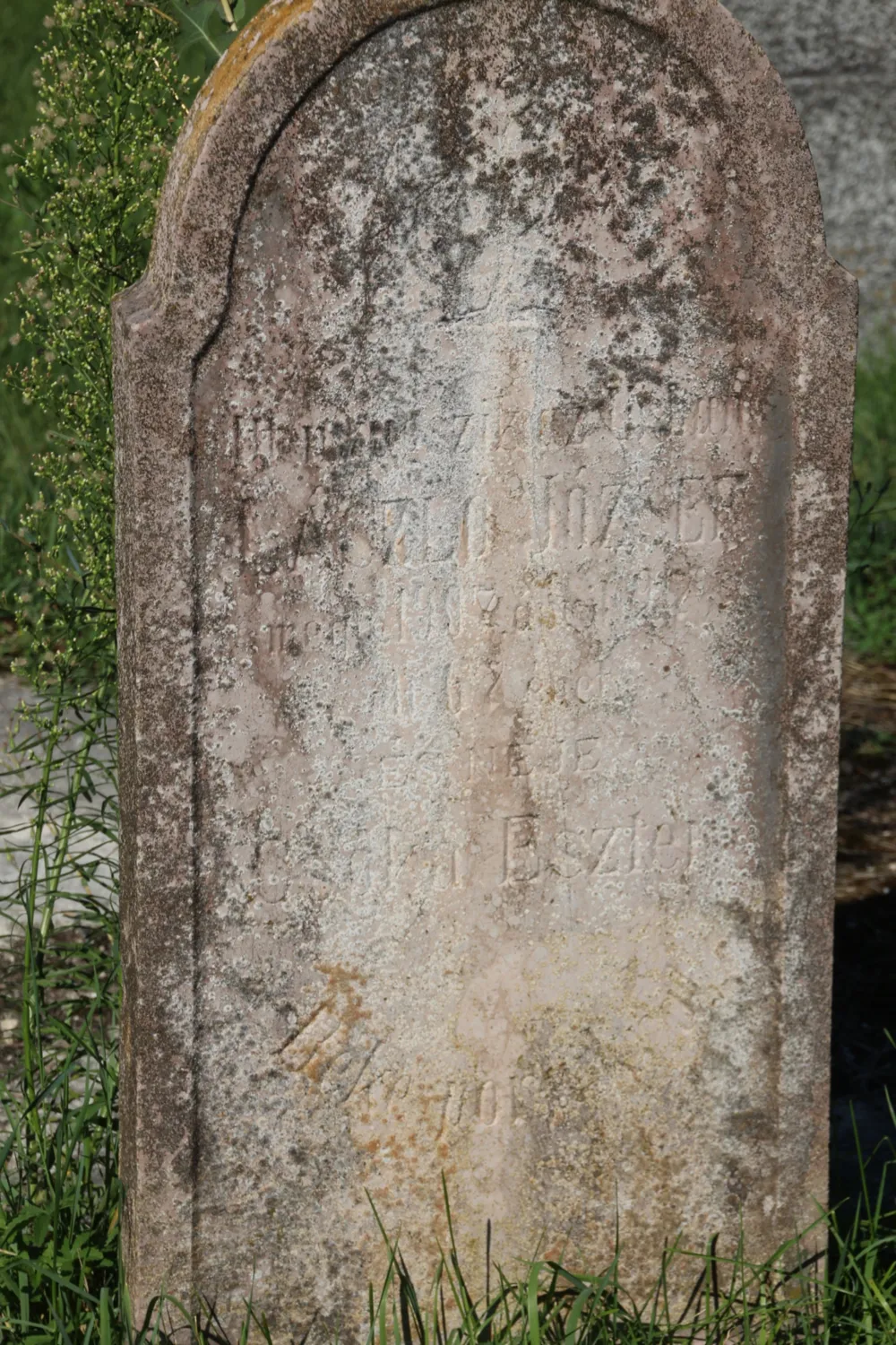 Master file0000062524