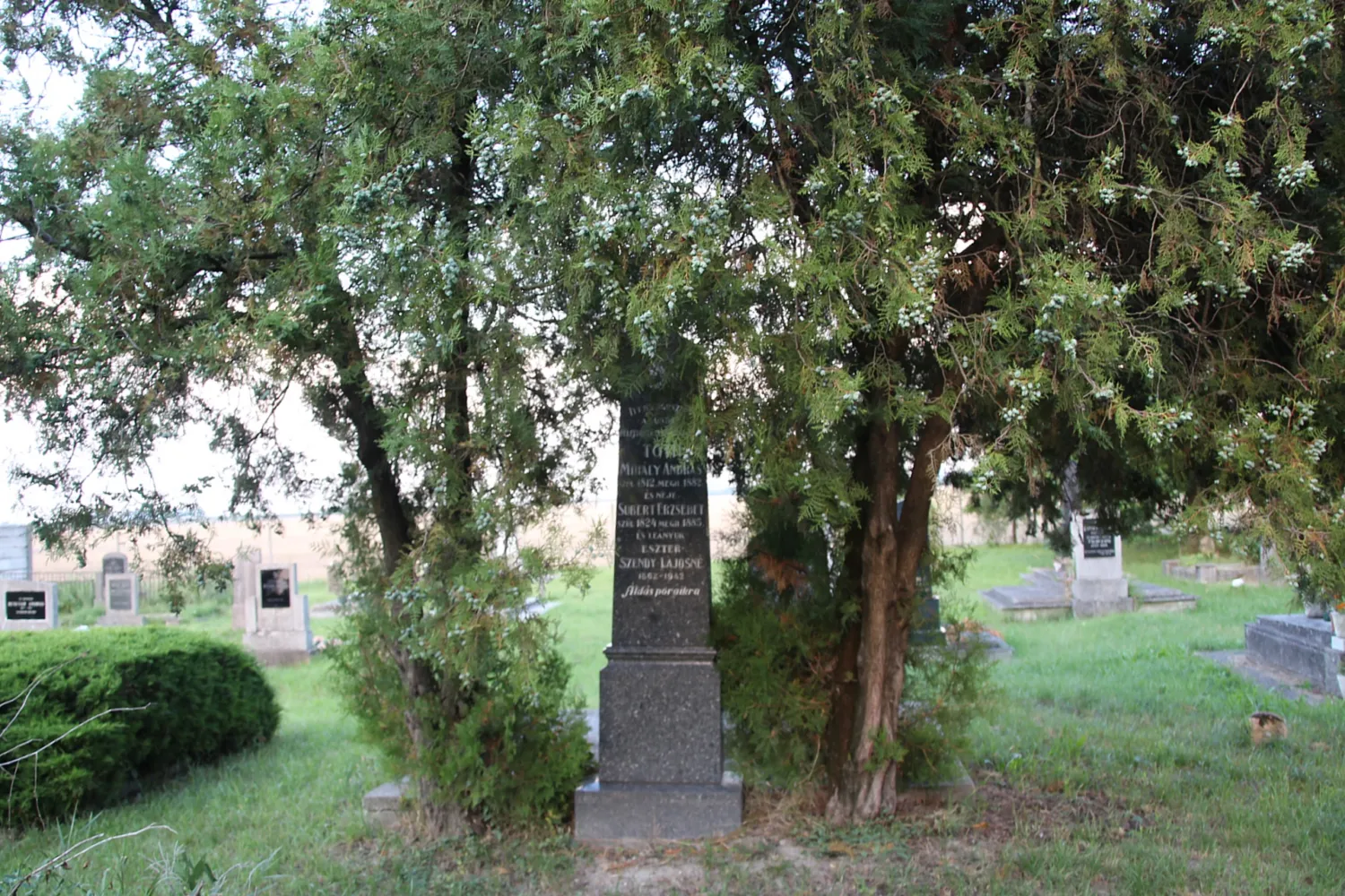 Master file0000062956