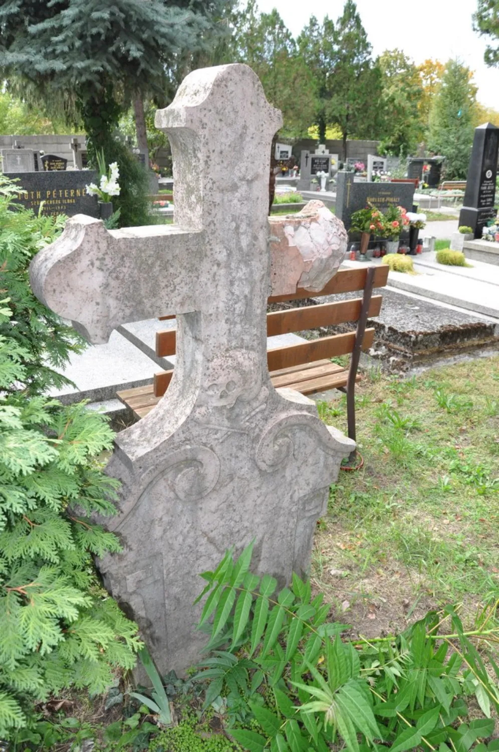 Master file0000080223