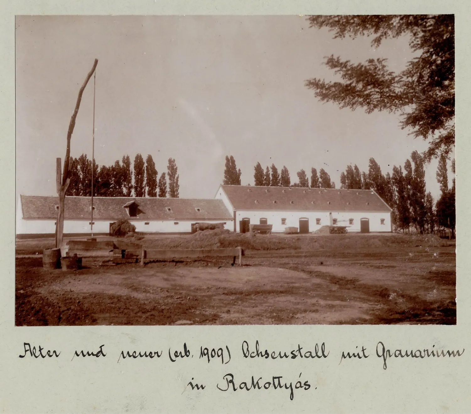 Master file0000053850