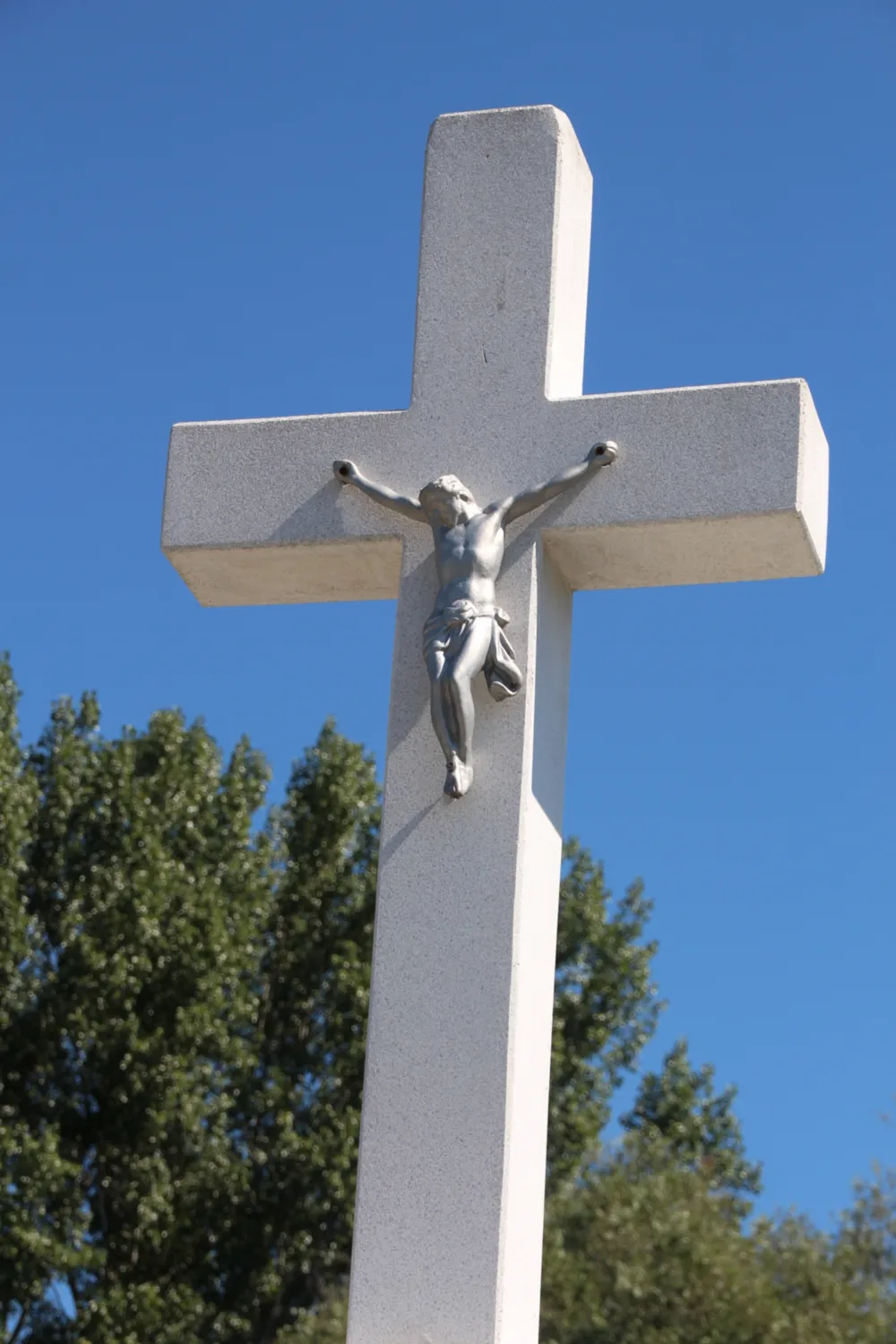 Master file0000064533