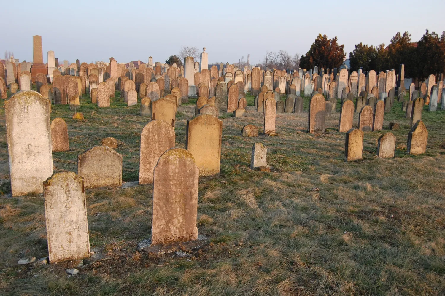 Master file0000061728