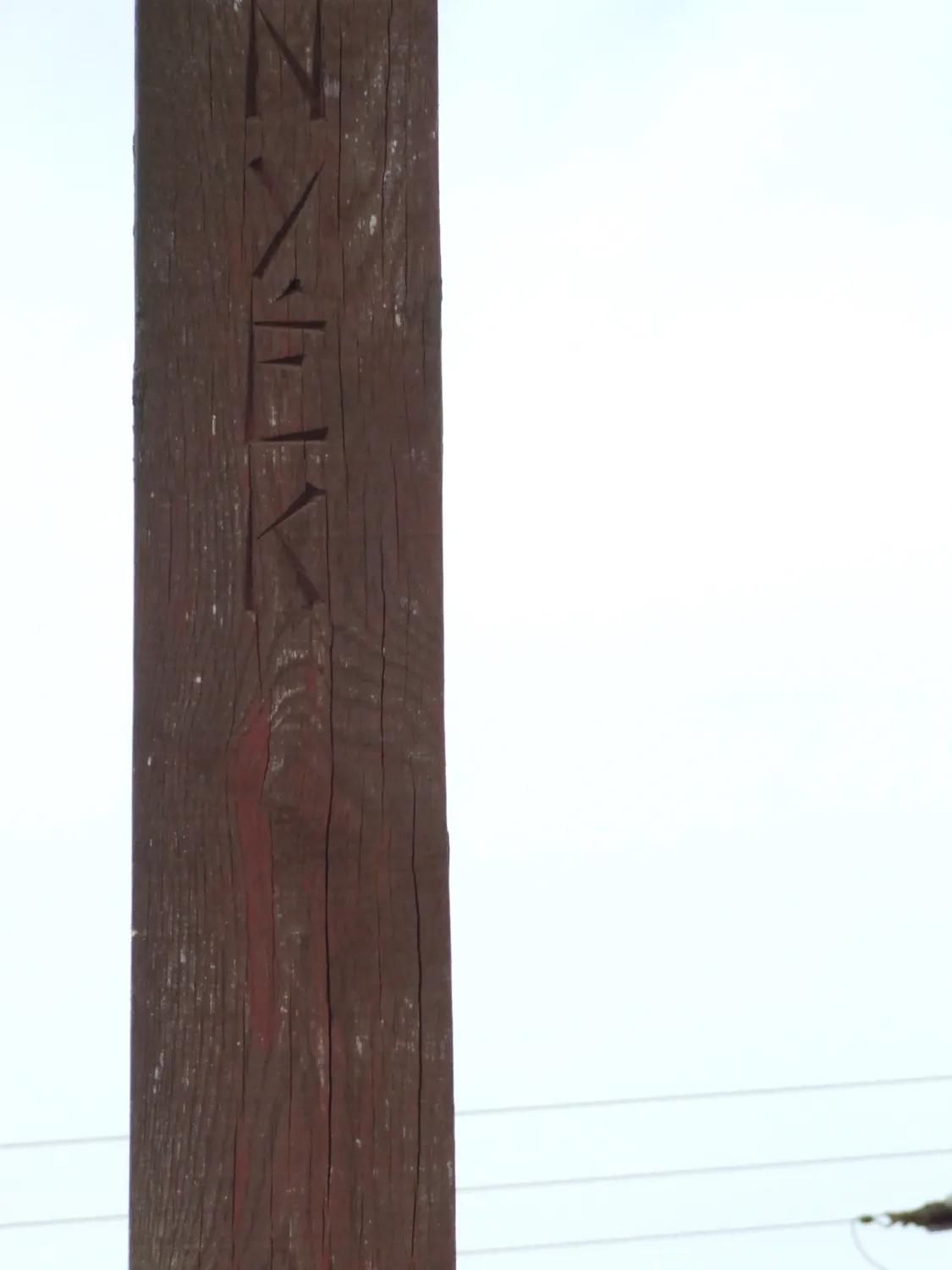 Master file0000060204