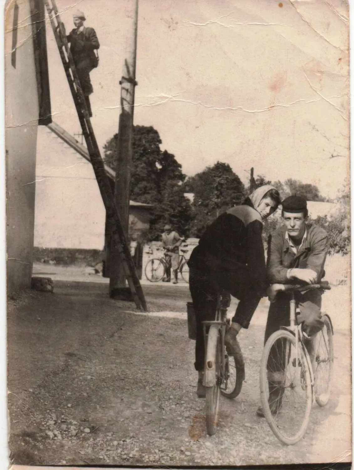 Master file0000081965