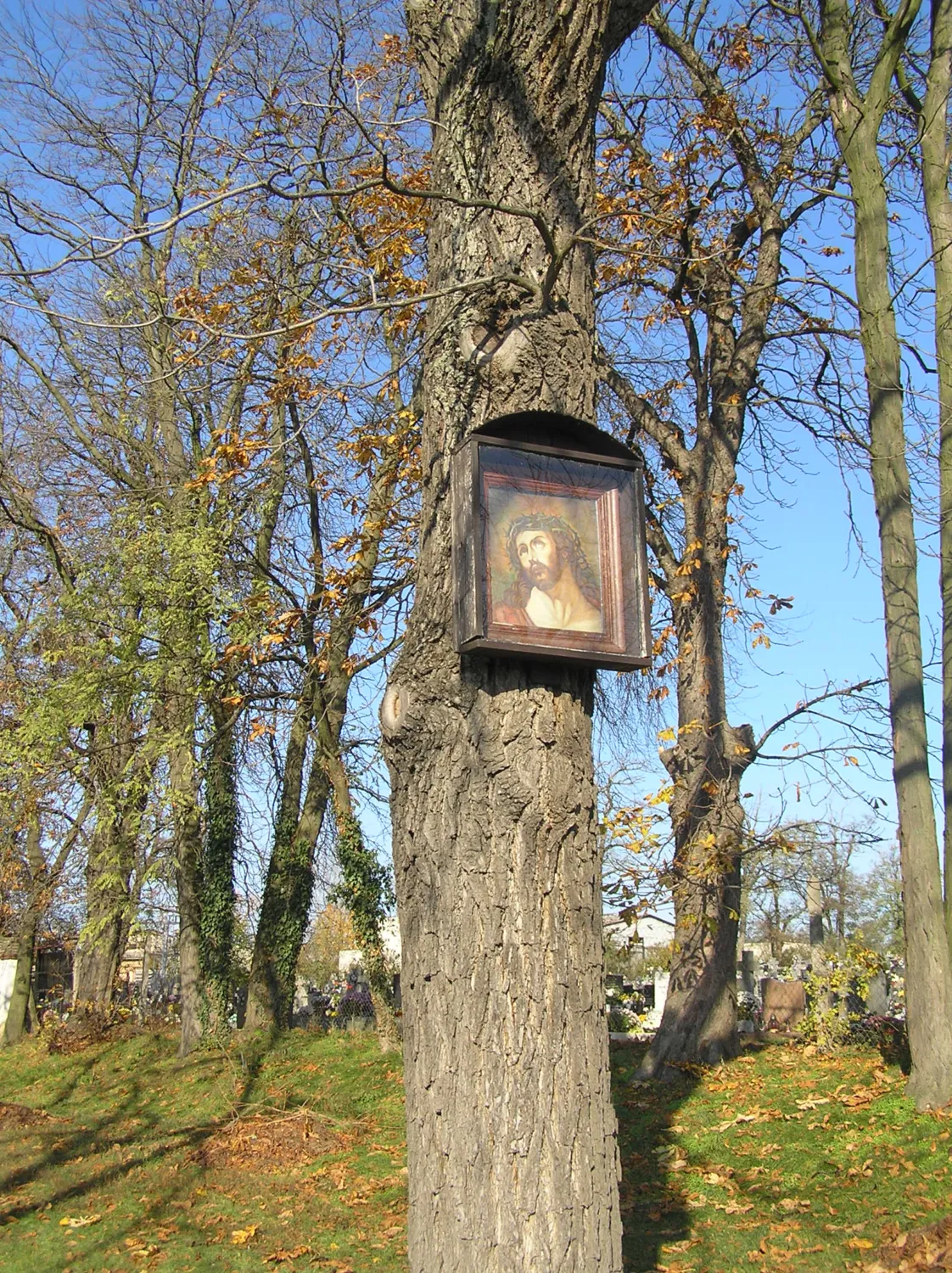 Master file0000064392