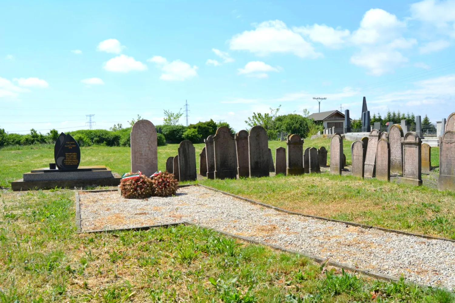 Master file0000058071