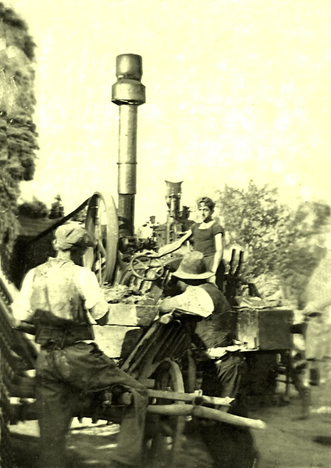 Master file0000057330