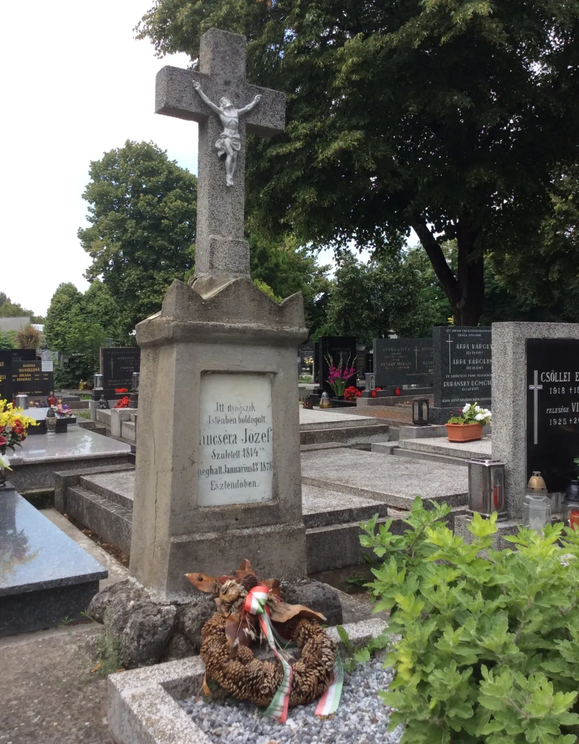 Master file0000066295