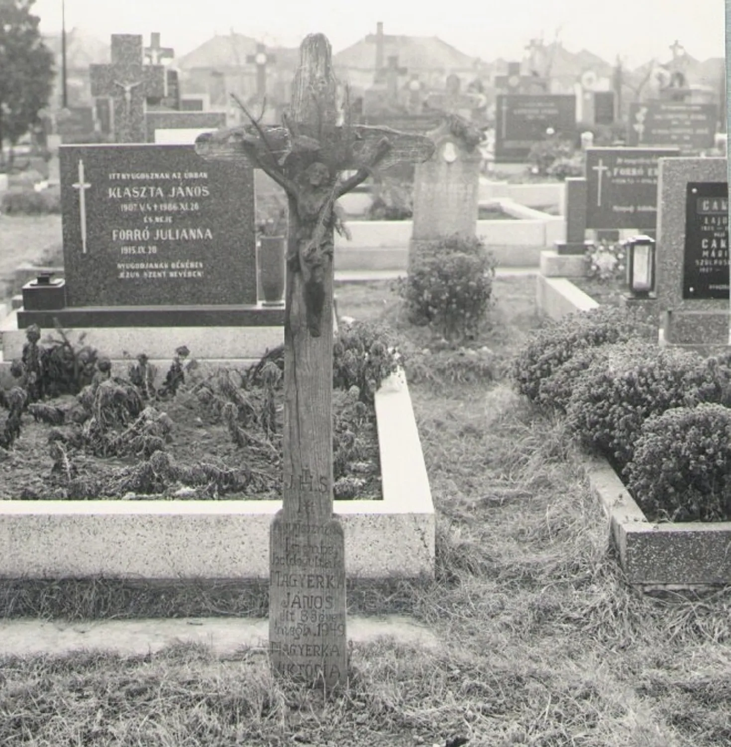 Master file0000056049