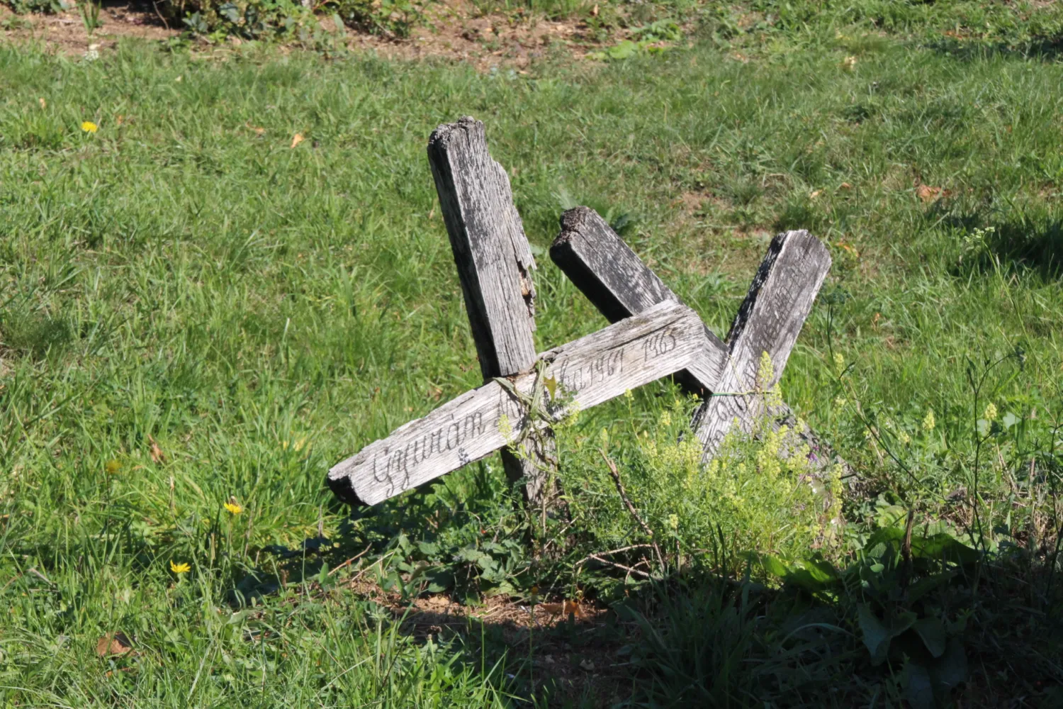 Master file0000072916