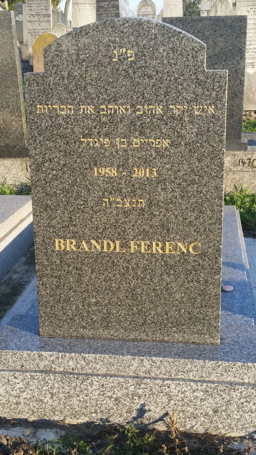 Master file0000060874