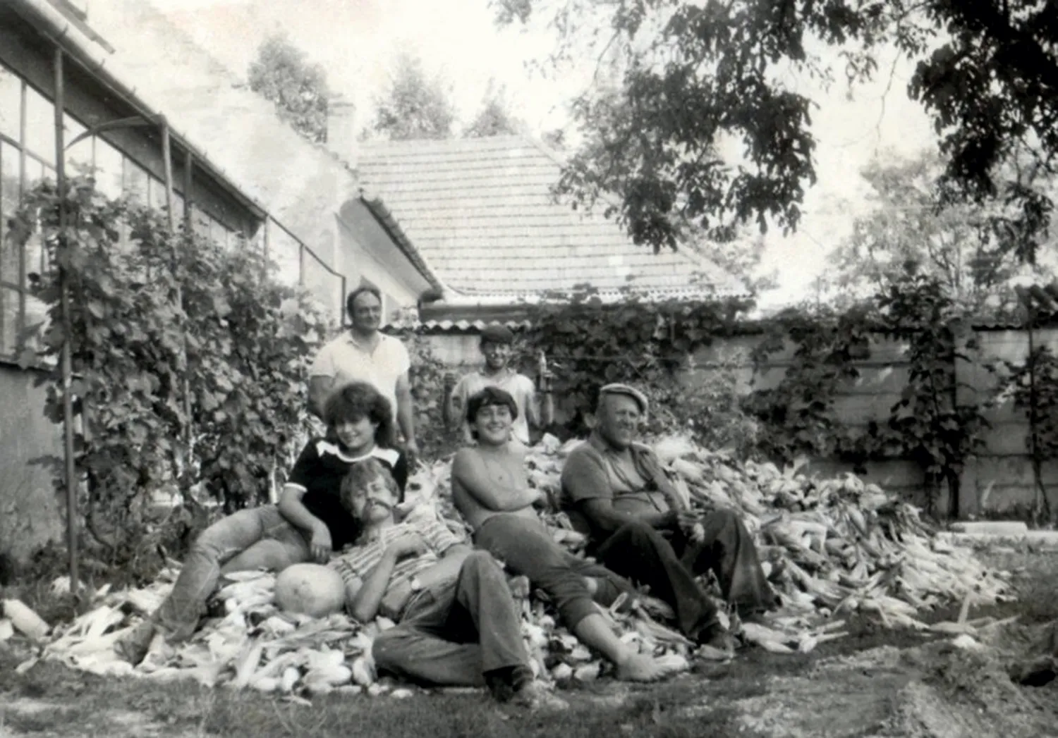 Master file0000038514