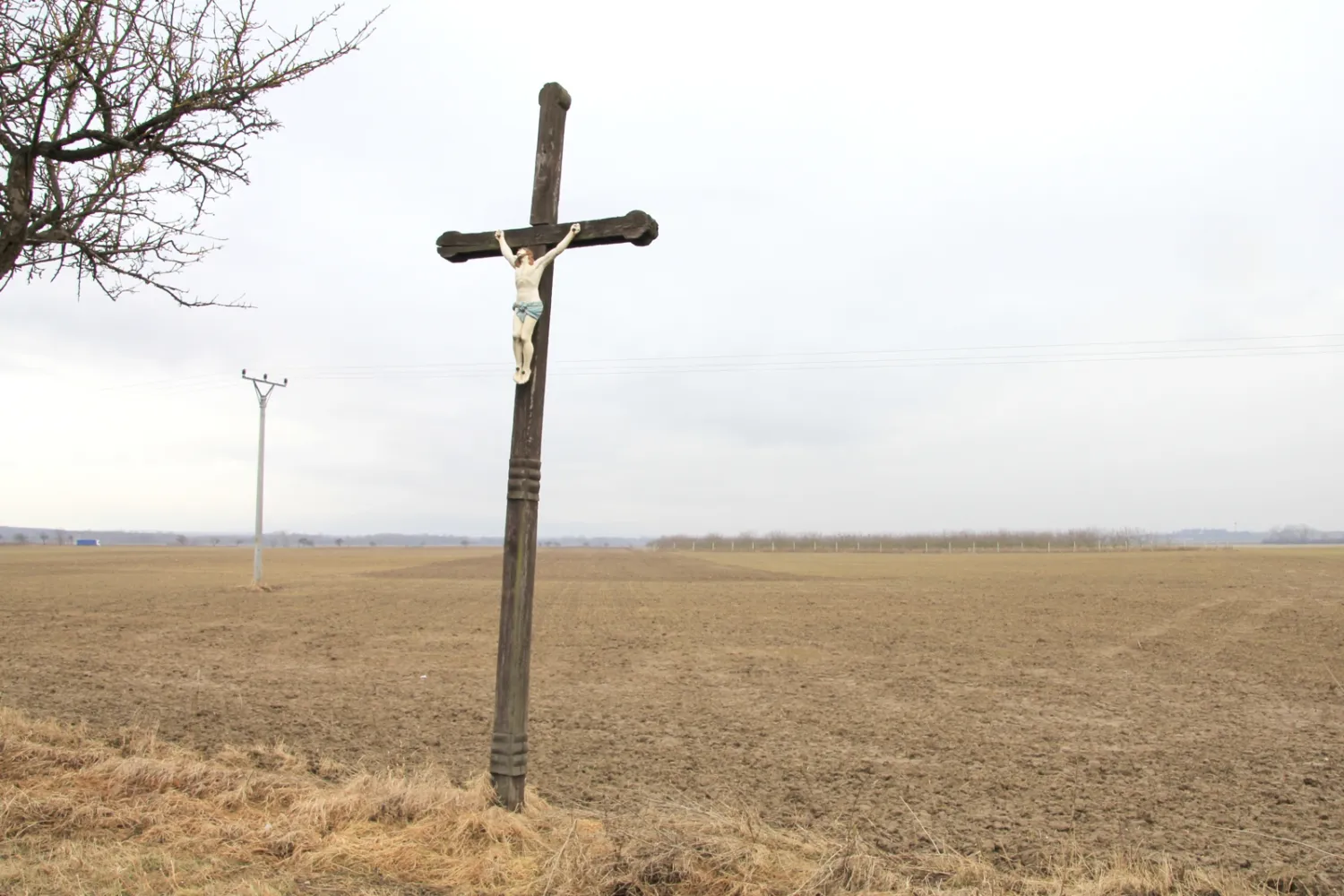 Master file0000058541