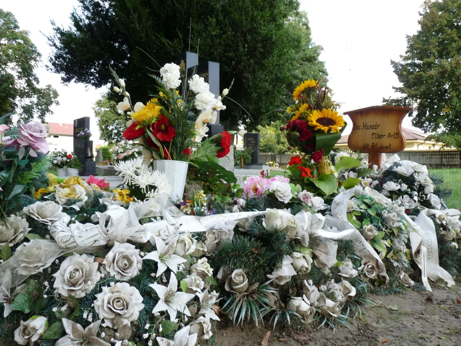 Master file0000058120