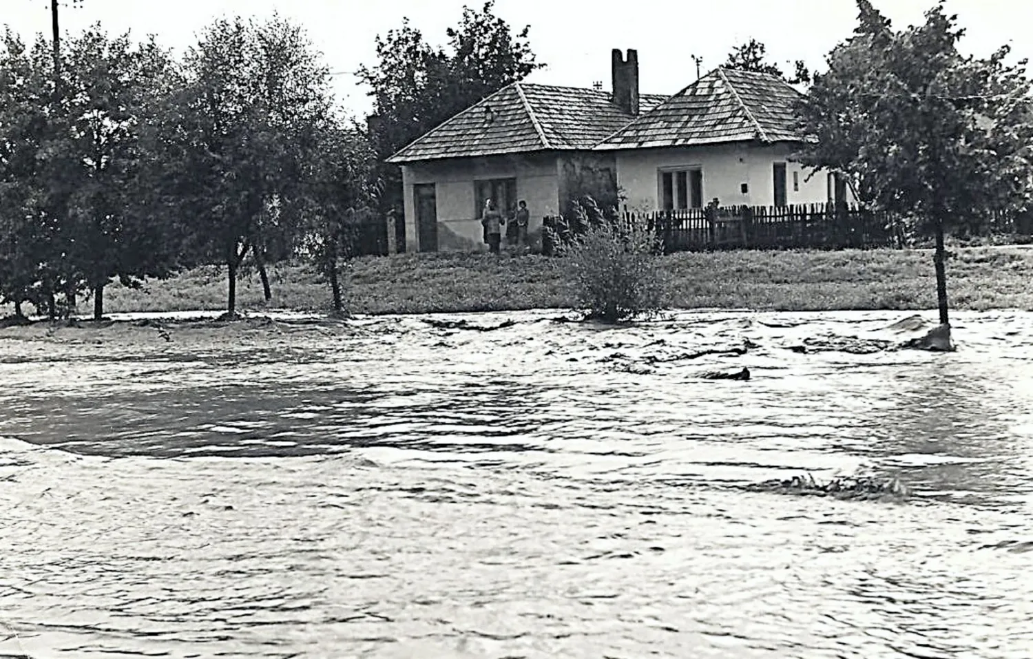 Master file0000055689