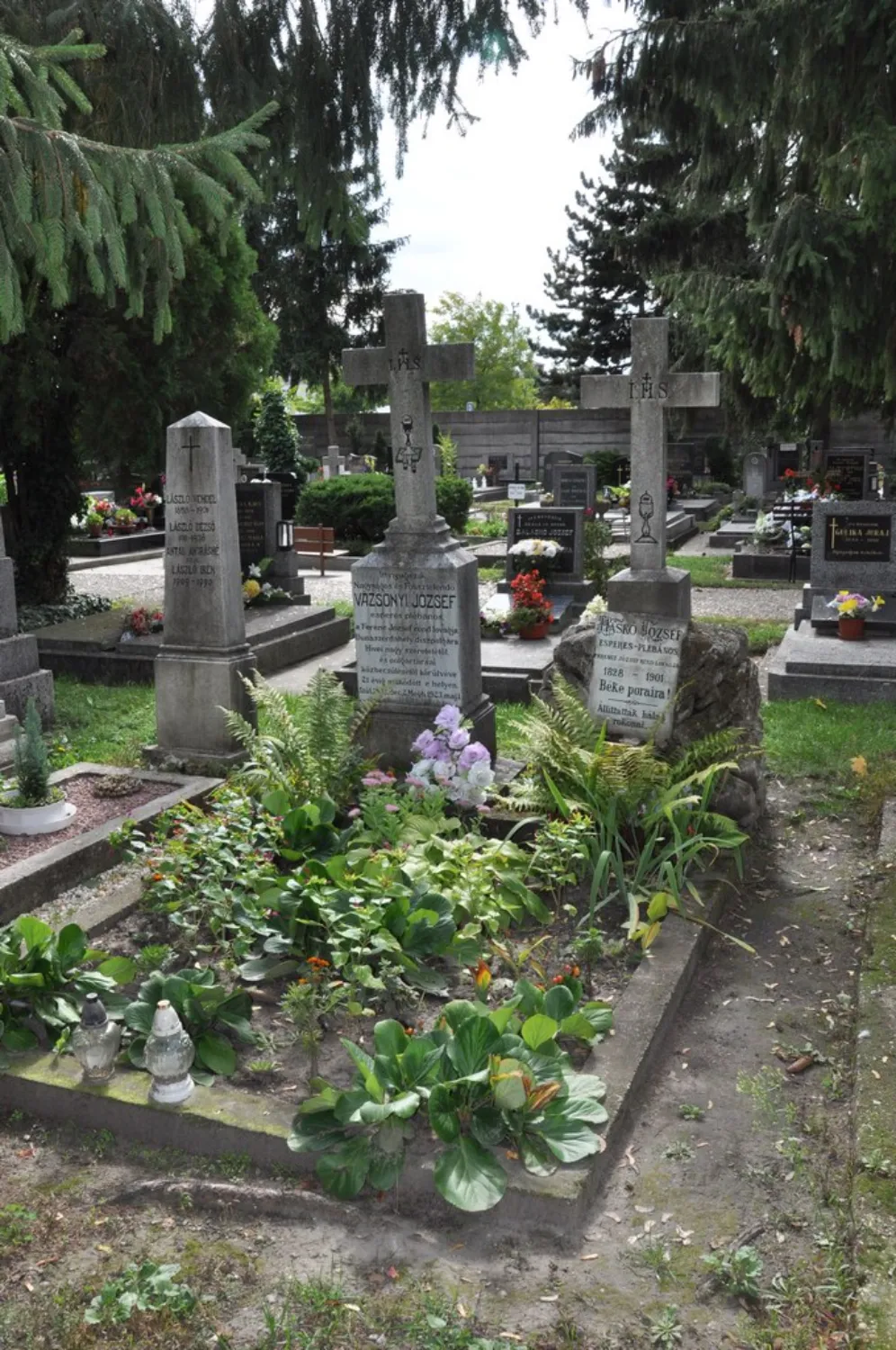 Master file0000060559