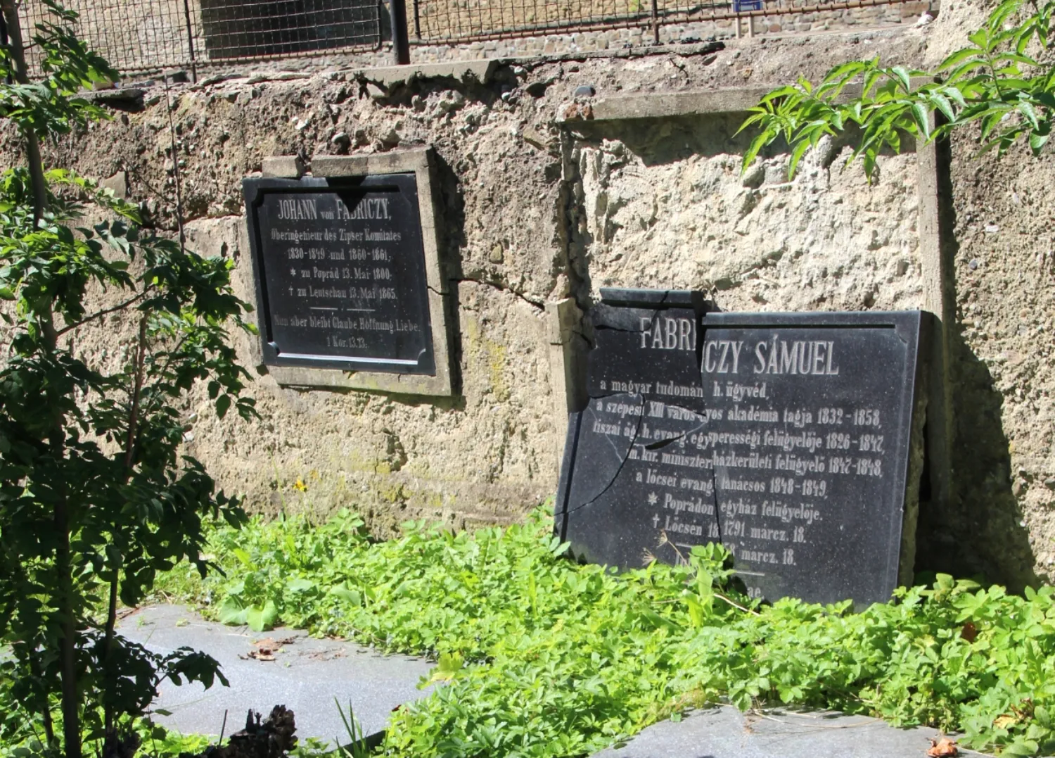 Master file0000059926