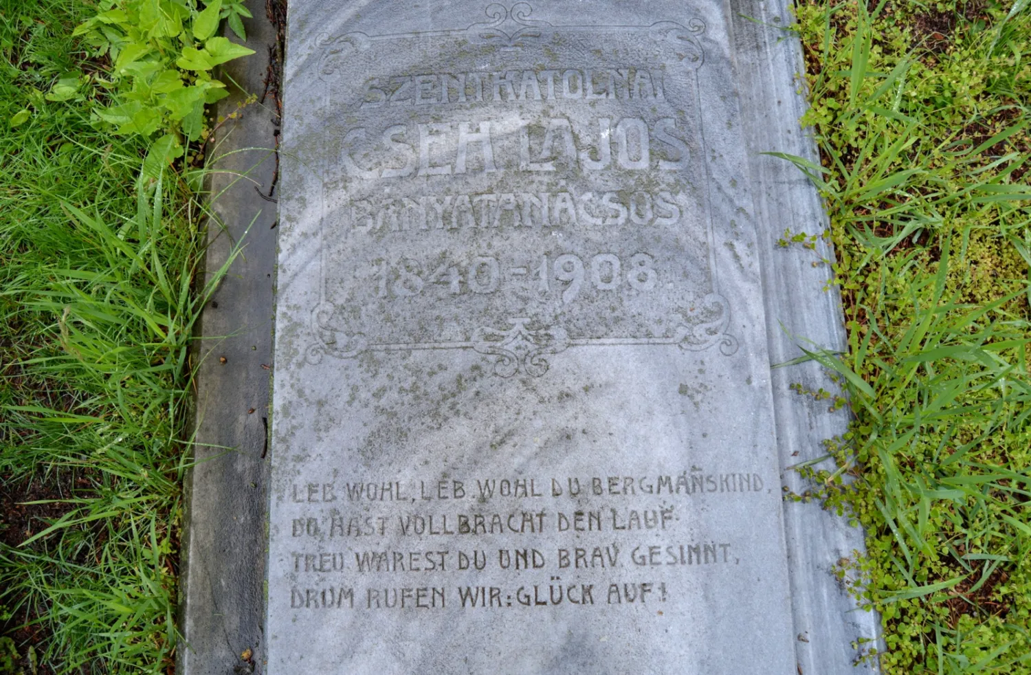 Master file0000065936