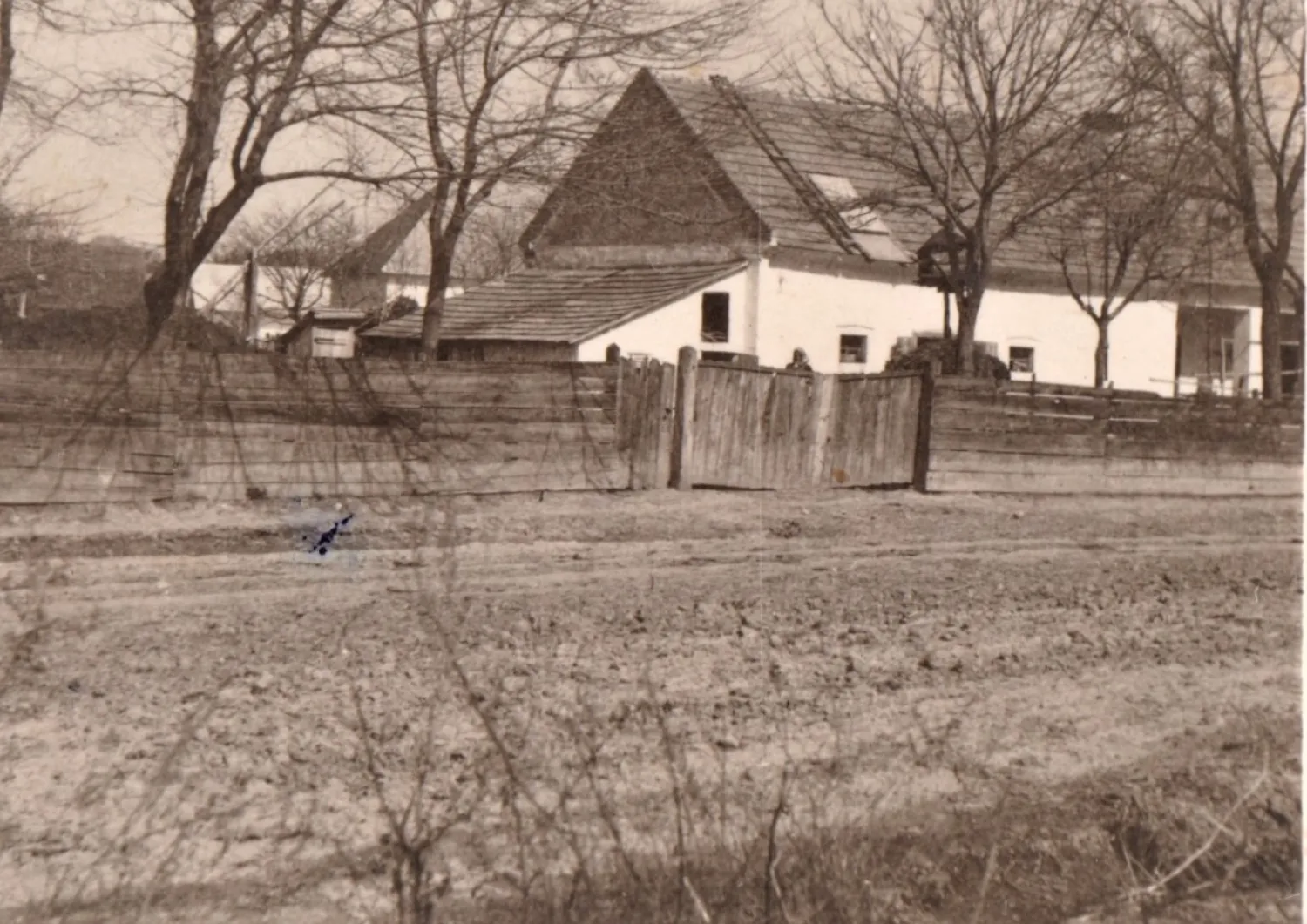 Master file0000053849