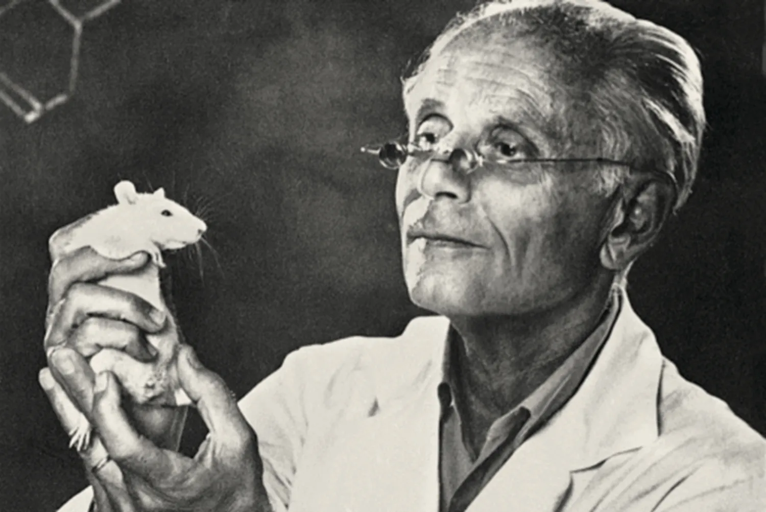 Master file0000049745