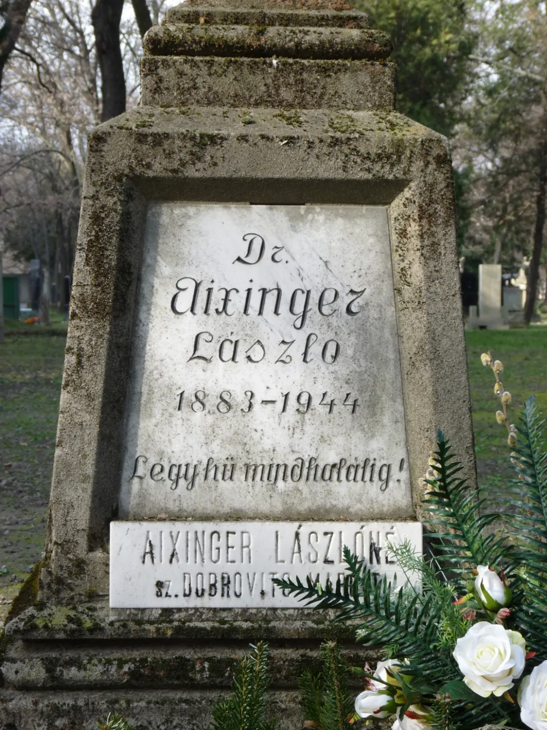 Master file0000064646