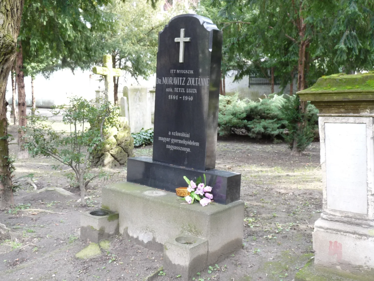 Master file0000061388