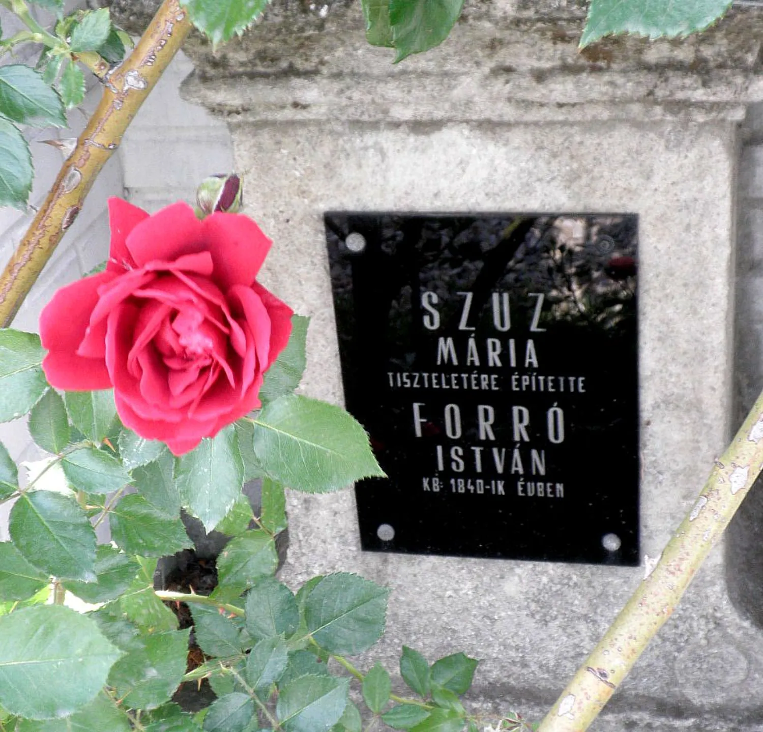 Master file0000058886