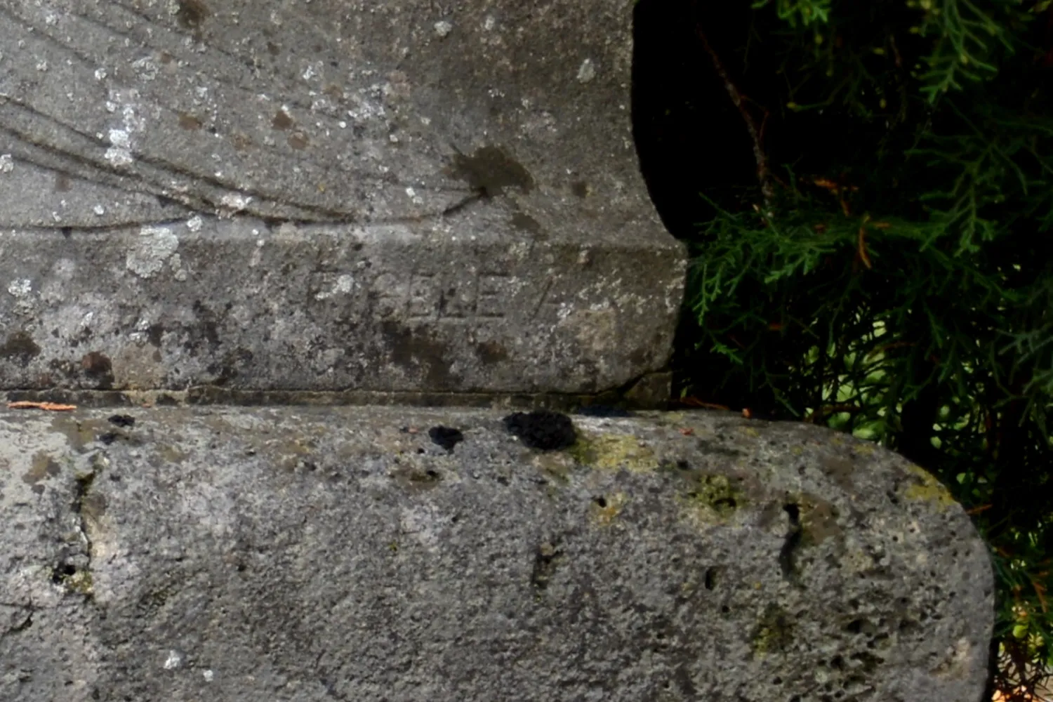 Master file0000061049