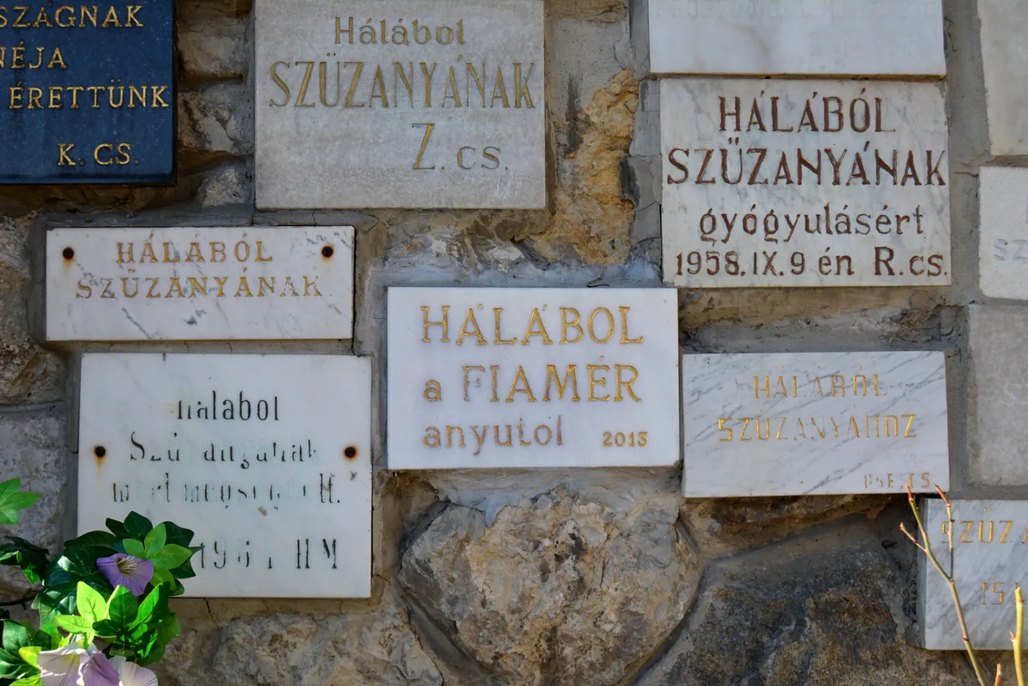 Master file0000059341