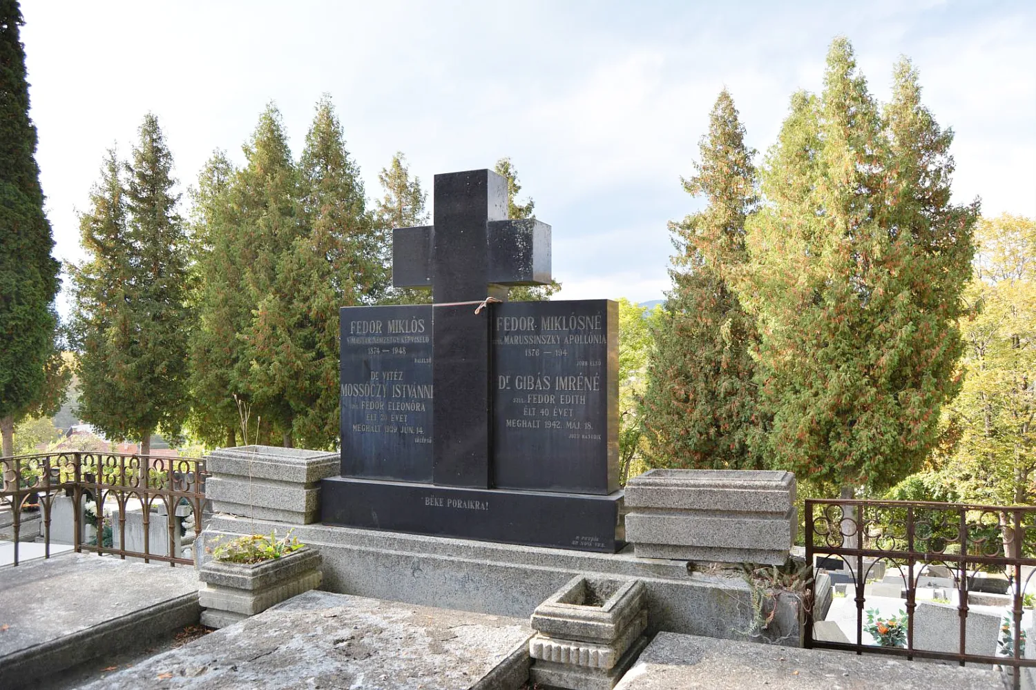 Master file0000058897