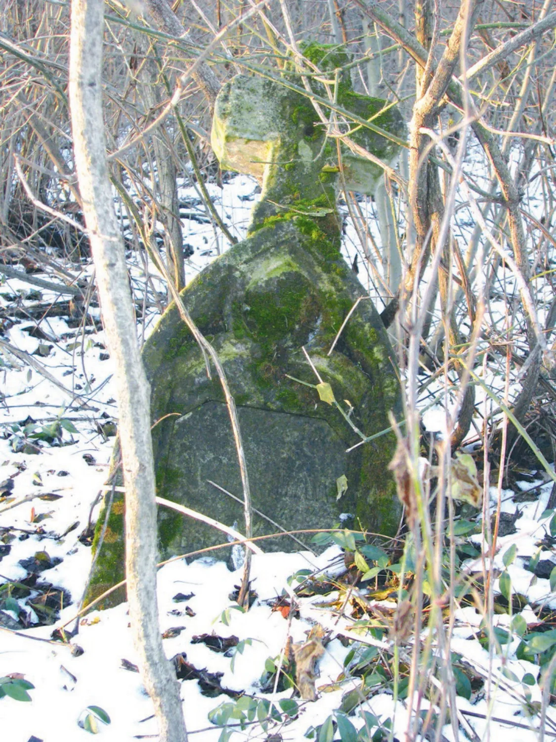 Master file0000061837