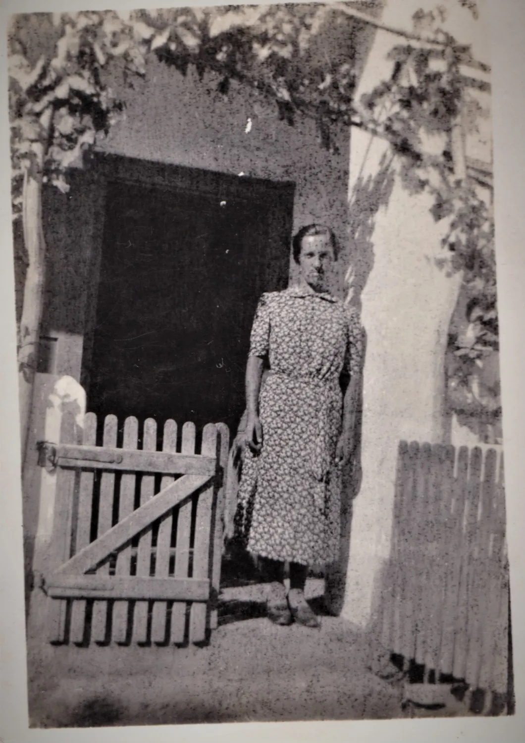 Master file0000053851