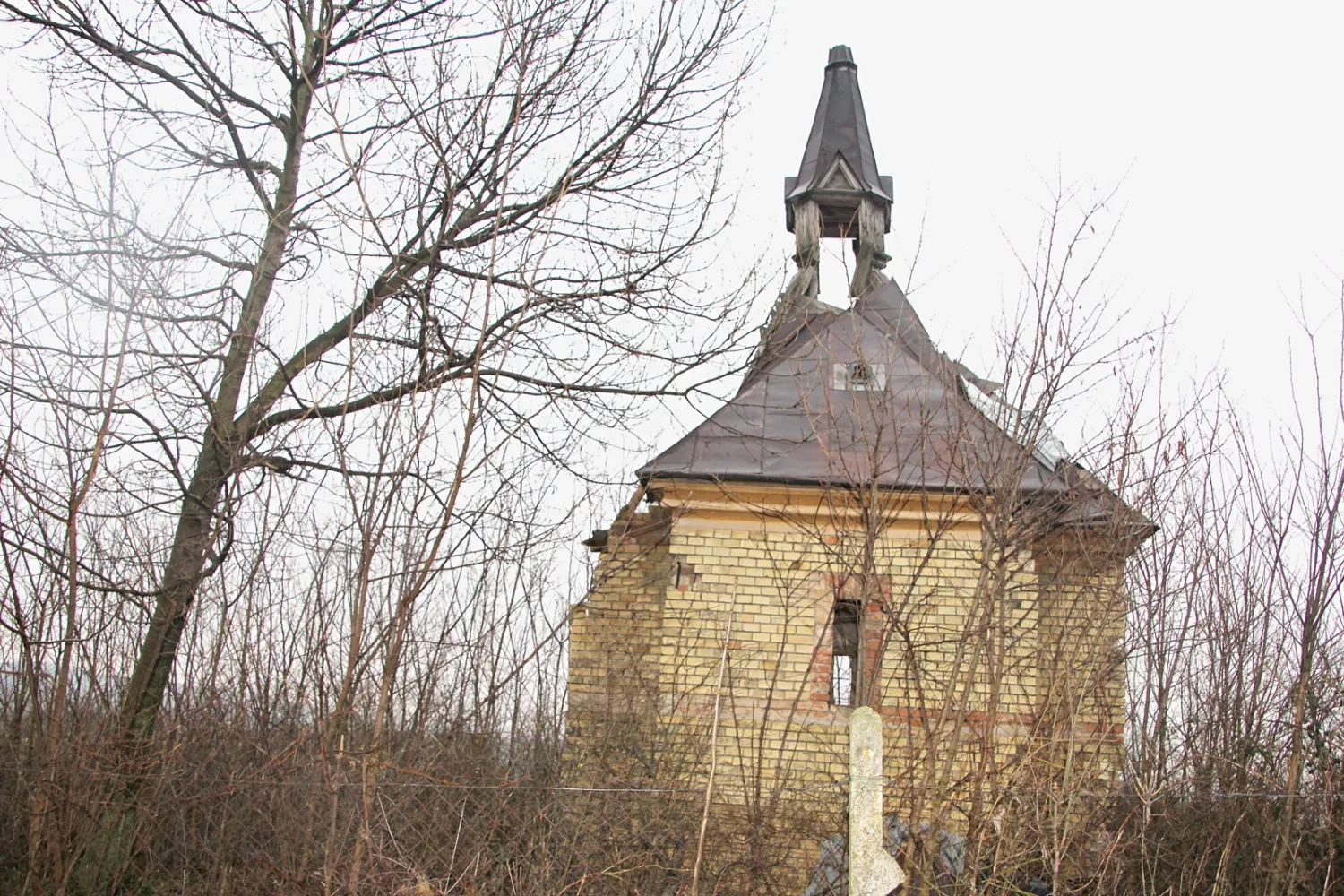 Master file0000070267