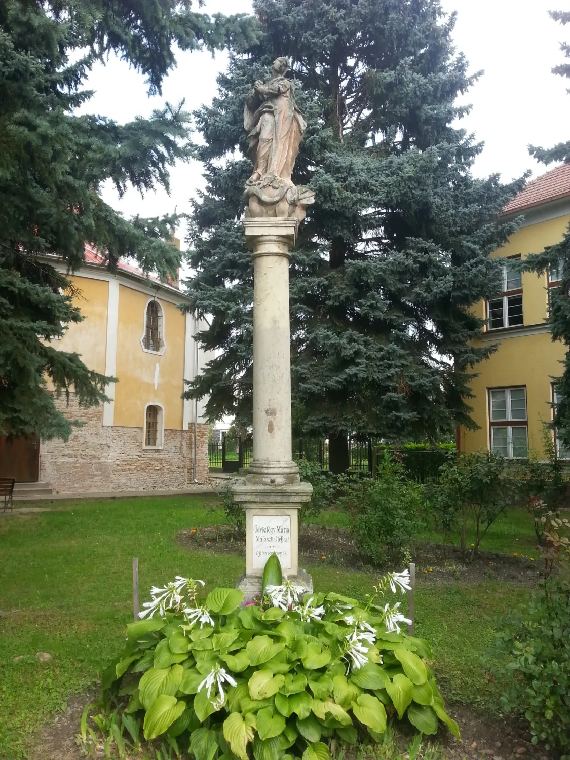 Master file0000061961