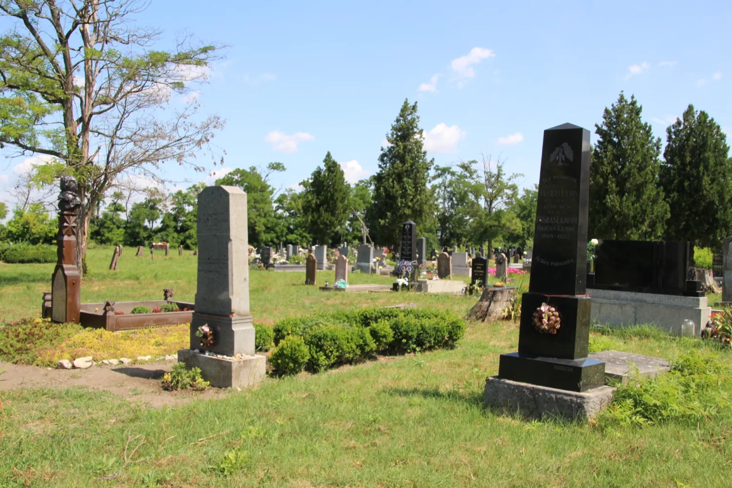 Master file0000062339