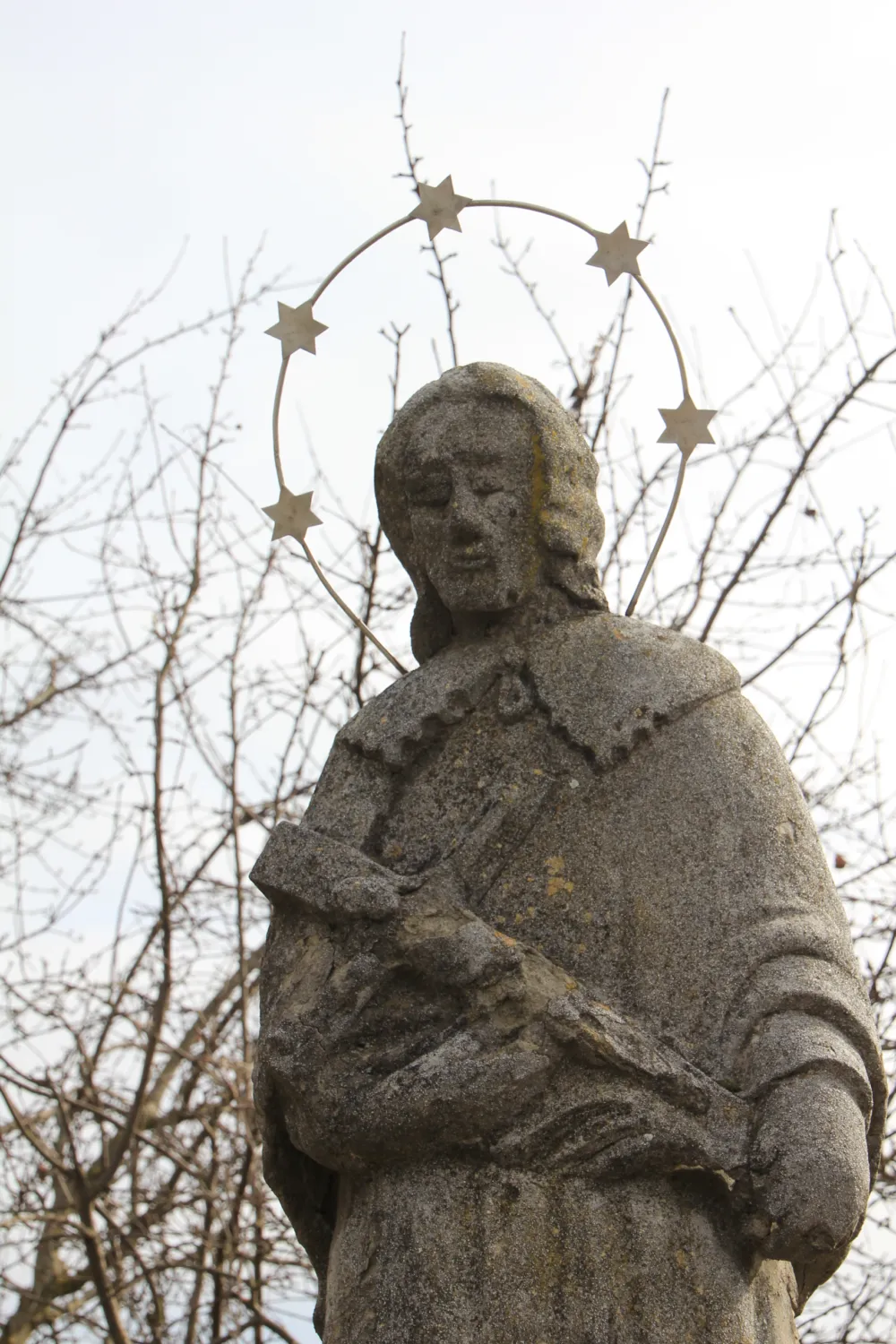 Master file0000064113