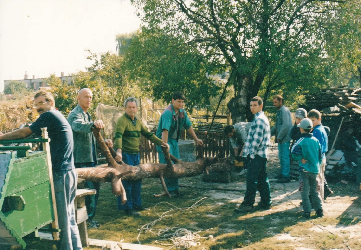 Master file0000056513