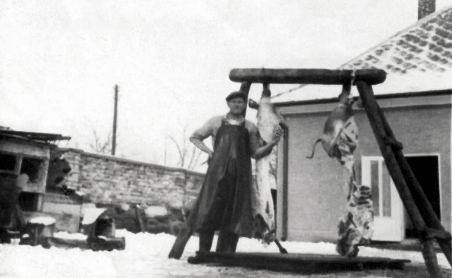 Master file0000055522